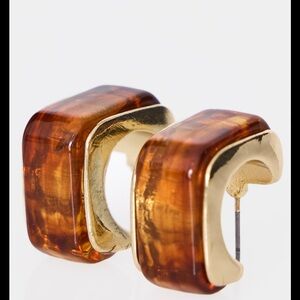 Chunky Gold and Brown Hoop Earrings